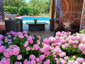 Environment, Villa Four Seasons with pool, Cista Velika, Croatia Cista Velika